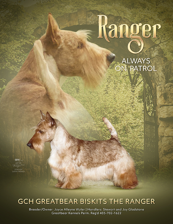 SIre Ranger